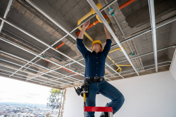 Best Plumbing Inspection Services  in Brookhaven, MS